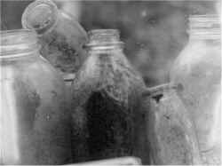 Bottles.jpg (30963 bytes)